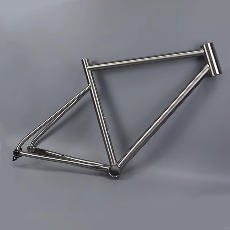 Cadre de vélo de route TIRIS-DR6, câblage interne complet, frein à disque/à jante, axe traversant/à