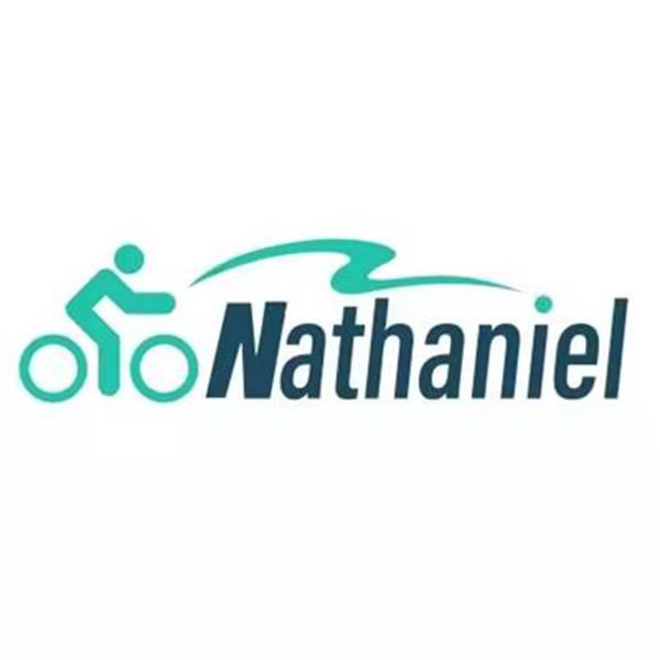 Vélo électrique Nathaniel SYR08 2000W à double moteur, pneus larges 20*4.0, batterie amovible 20AH, 