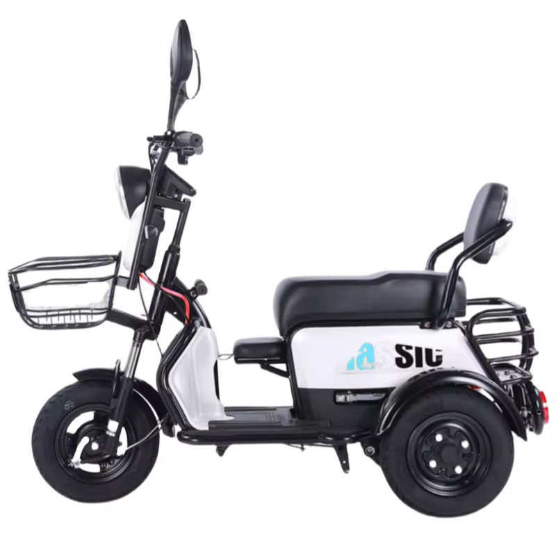 Trottinette Électrique Longue Portée pour Adulte et Enfant, Tricycle 2 Places, 60V, 2024 W, 3 Person