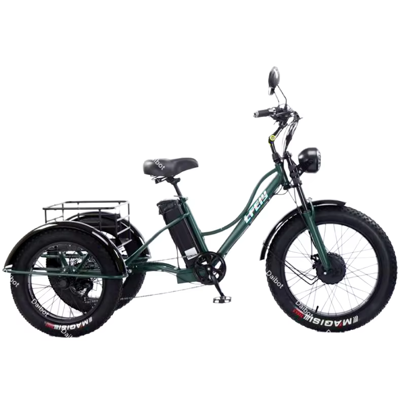 Nouveau Tricycle électrique à 3 roues vélo Cargo avec passagers personnes âgées adultes 2 places 750