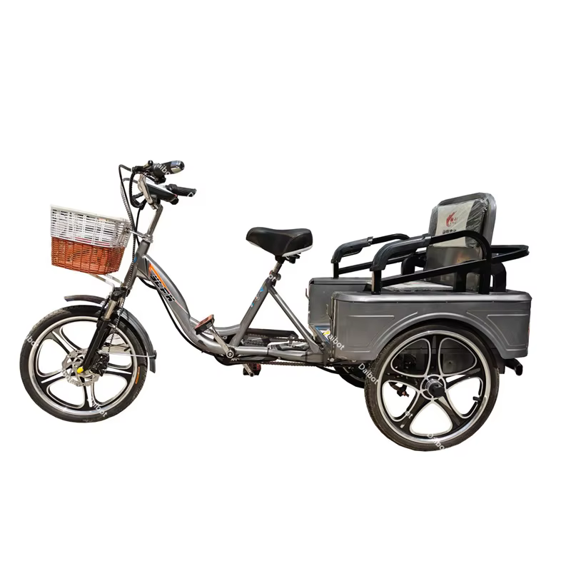 Tricycle électrique pour personnes âgées, 3 roues, pour passager de fret, avec batterie cachée, amov