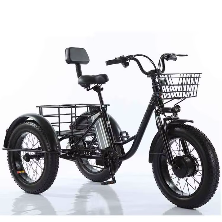 Tricycles électriques familiaux E-cargo 20 pouces, 48V, 20ah, 500W, vélo Cargo électrique à 3 roues,