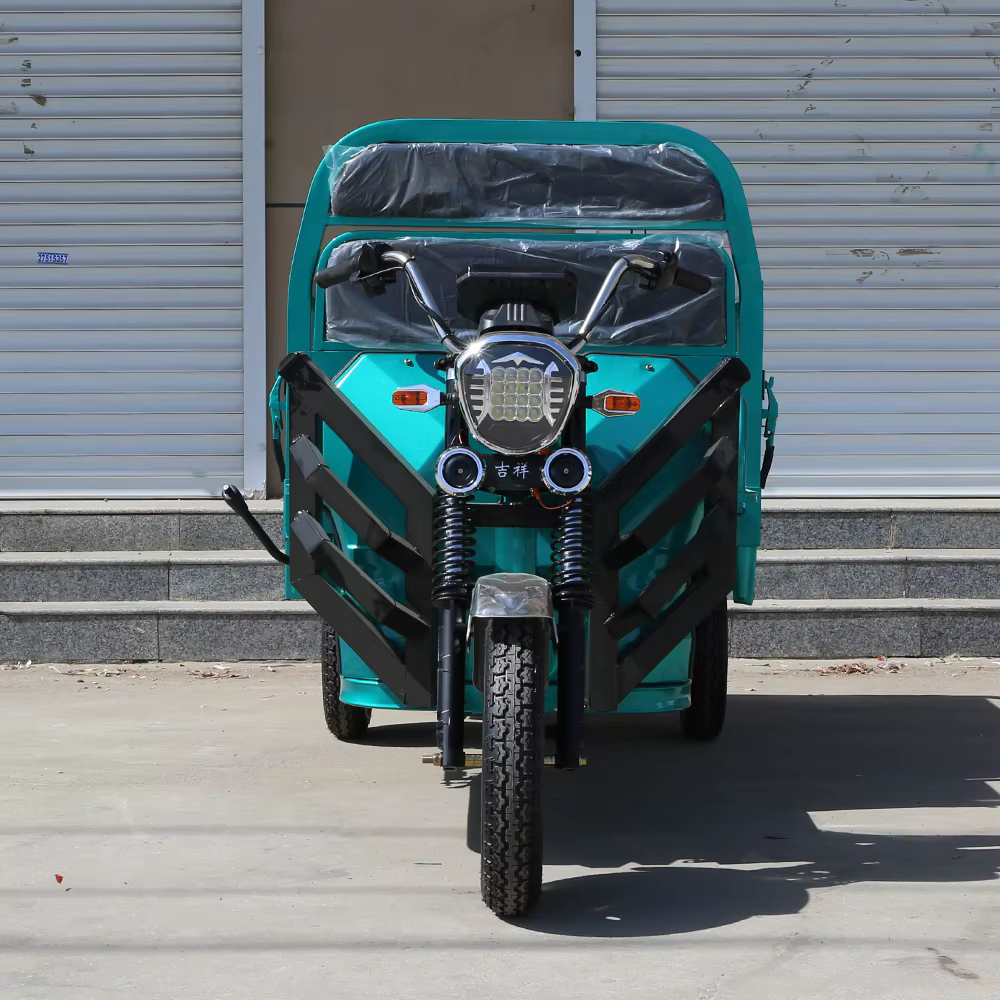 Nouveau tricycle électrique 1000W pour usage familial, E-Trikes, véhicules de transport, tricycle él