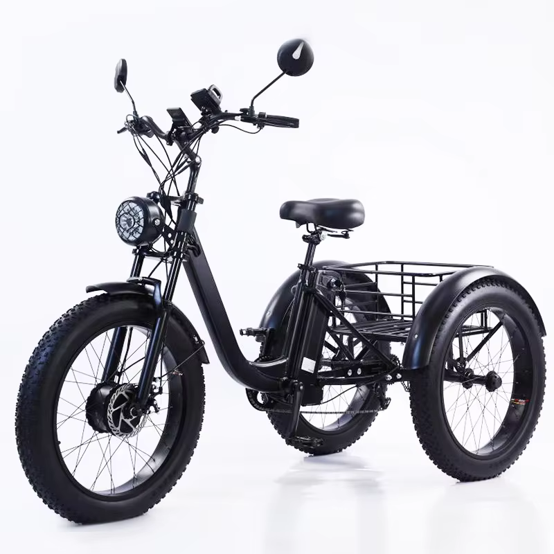 Vélo électrique 24 pouces pour homme et femme, bicyclette à trois roues, pour la neige et la montagn