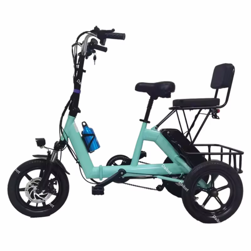 Tricycle électrique pliant de 14 pouces pour vélo électrique Senior à trois roues 48V adulte 2 siège