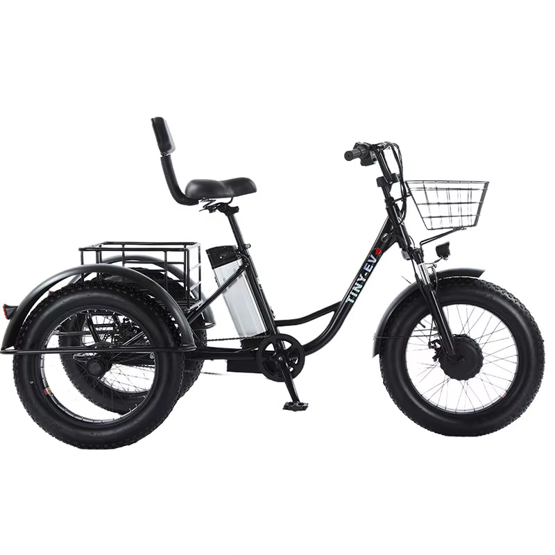 Gros vélo vélo électrique 20 pouces neige puissant homme 48V 500W Tricycle électrique cargo avec siè