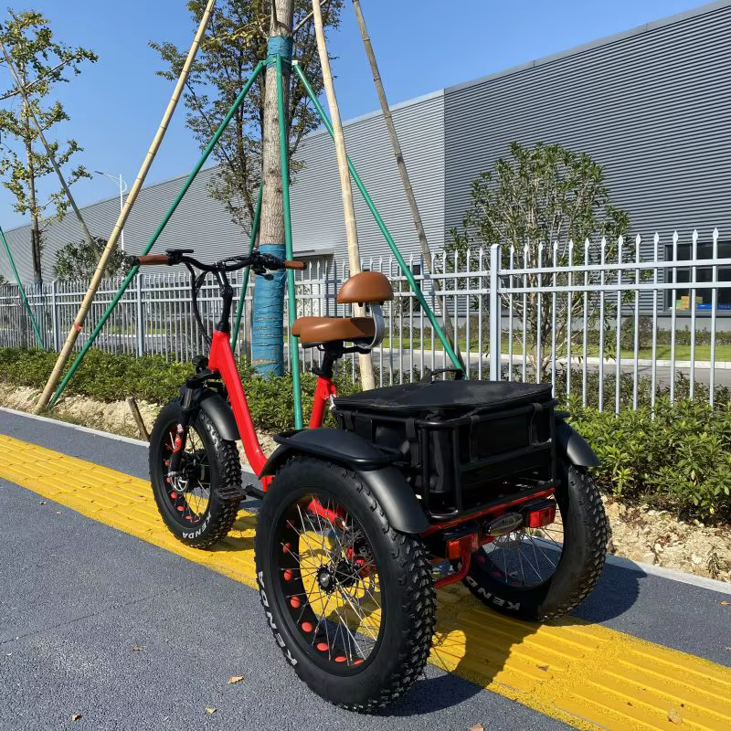 Tricycle électrique pliant 20 ''gros pneu pour adultes 350W Ebike motorisé électrique trois roues pa