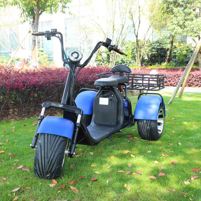 2000W moteur Tricycle électrique neige large pneu adulte déplacements loisirs mobilité Scooter siège