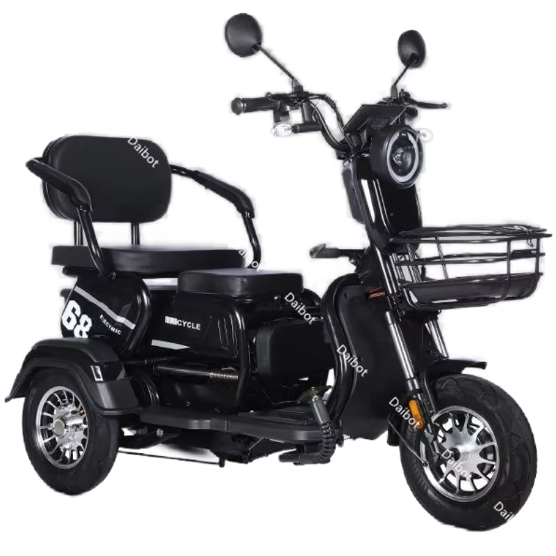 Tricycle électrique adulte 48V 600W, Scooter électrique à 3 roues pour adultes, batterie amovible, s