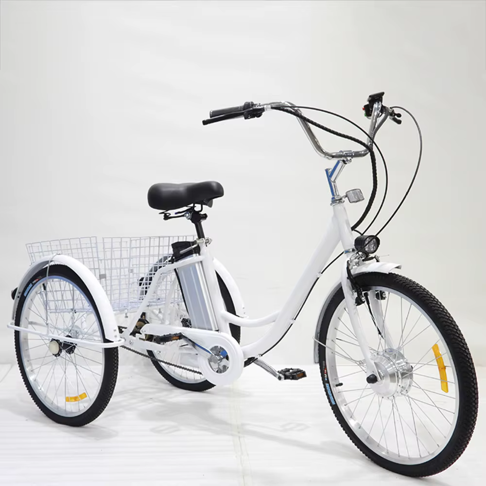 Vélo Cargo électrique pour adultes personnes âgées 350W 36V 12AH batterie au Lithium amovible vélo é