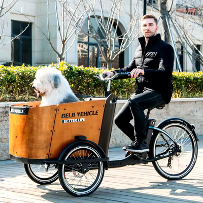 Vélo cargo électrique pour la promenade du chien