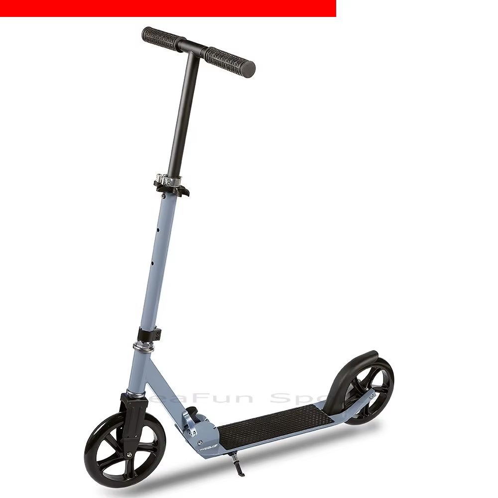 Trottinette à Roues Larges 200mm avec Frein à Disque, Trottinette Urbaine Durable pour Trajets Quoti