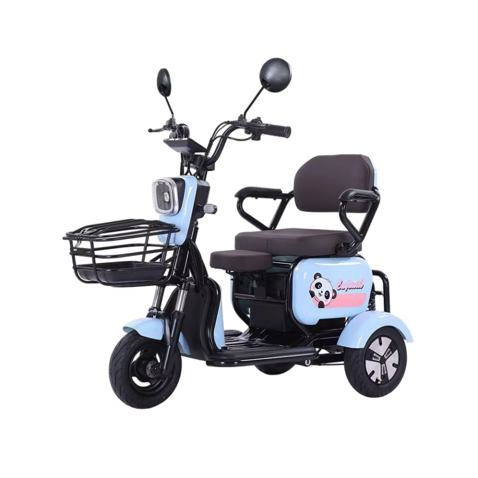 Scooter de mobilité à 3 roues pour personnes âgées et handicapées, 2 places, 400W*2, 48V, tricycle é
