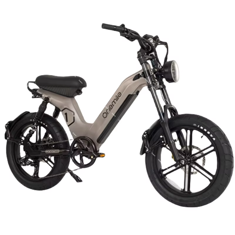 Fatbike – vélo électrique 2024, batterie détachable, 400w, 48v, 20 pouces, longue Distance, avec Blu