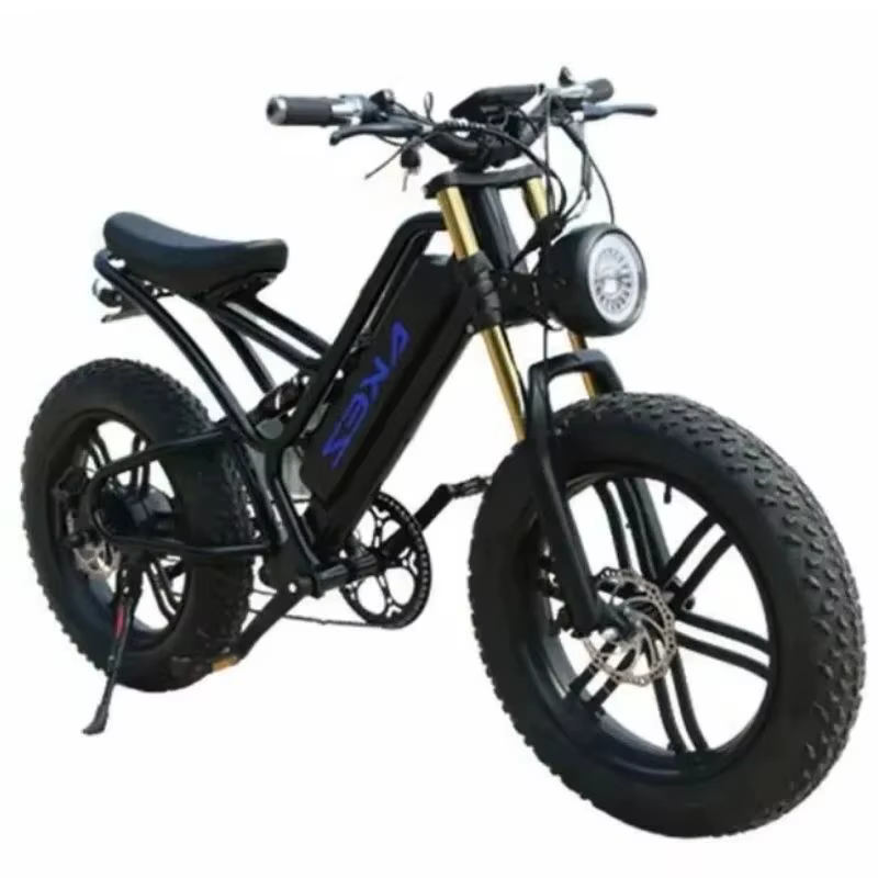 Vélo Électrique Rétro de 20 Pouces, 750W, 48V, avec Batterie Parfaite, pour Homme et Femme