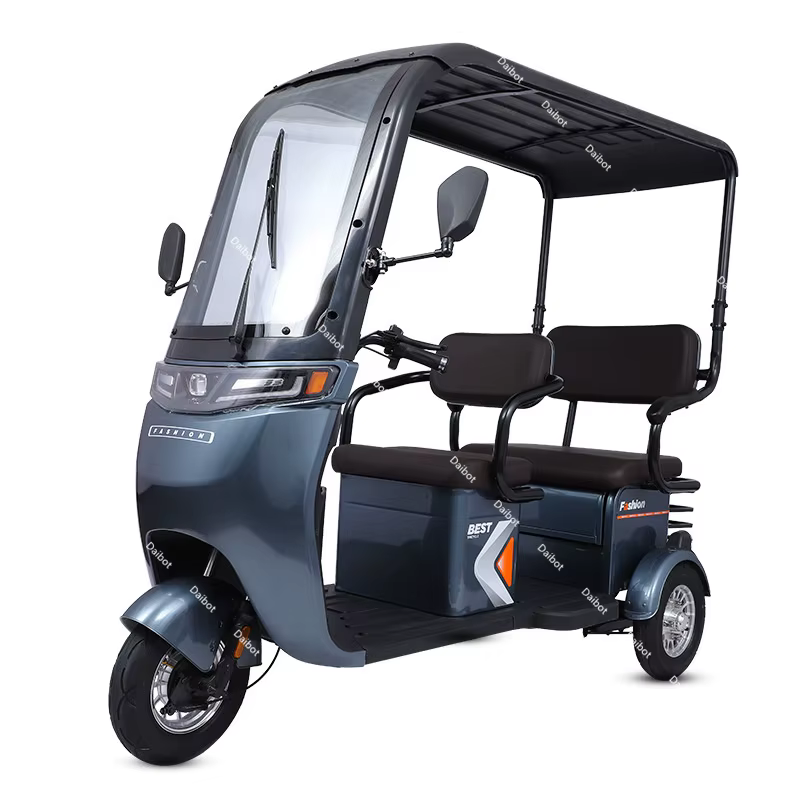 Tricycle électrique à 3 roues pour adulte, trottinette longue distance avec siège/toit, 1000W, 60V