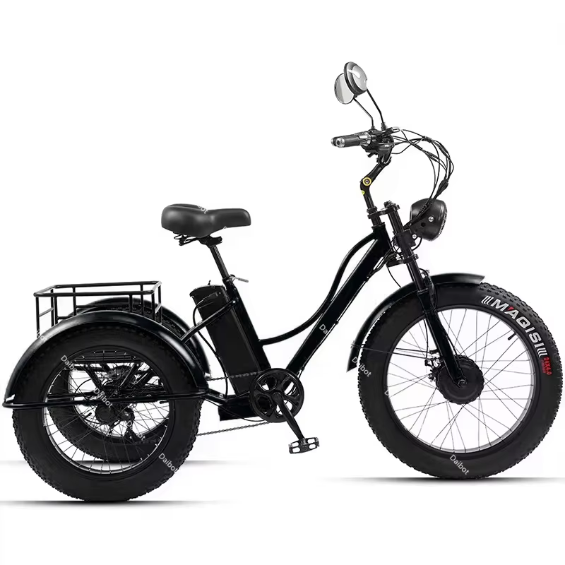 Vélo électrique fatbike pour hommes, 3 roues, haute puissance, avec siège passager, 48V 750W, tricyc