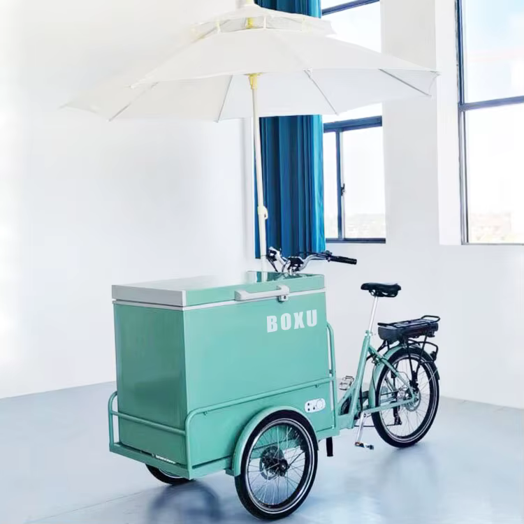 Vélo électrique Cargo à chargement frontal, livraison des aliments, 3 roues, pédale de réfrigérateur