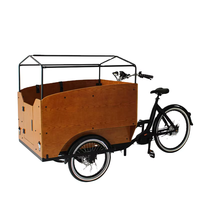 Vélo cargo électrique pour enfants, tricycle à trois roues, cinq sièges