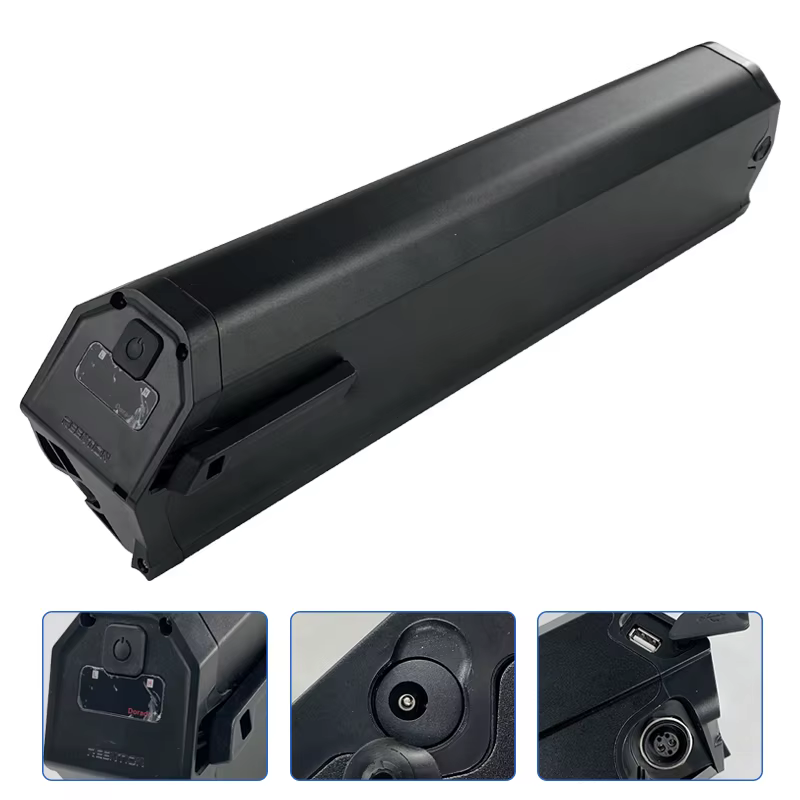 Dorado-Batterie pour vélo électrique, Batterie pour M2s Kush Bike Frey Am1000 Ebike 24.com, 48V, 20A