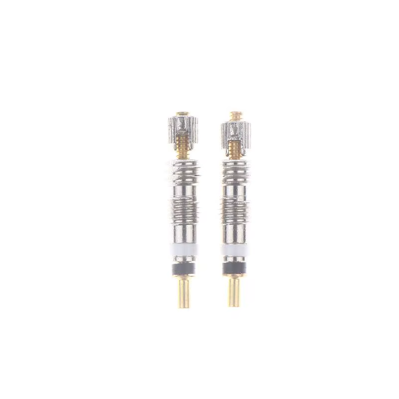 Noyau de Valve Tubeless en laiton pour vélo de route et vtt, 2/6/10 pièces, remplacement amovible po