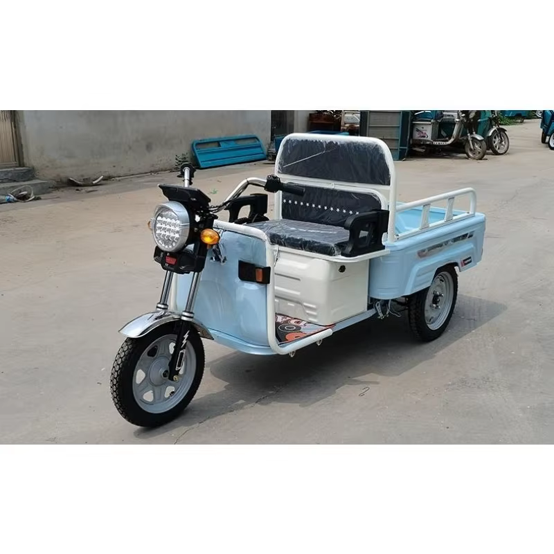Tricycle électrique pliable 600W, véhicule de transport multifonctionnel miniature pour adultes, pou