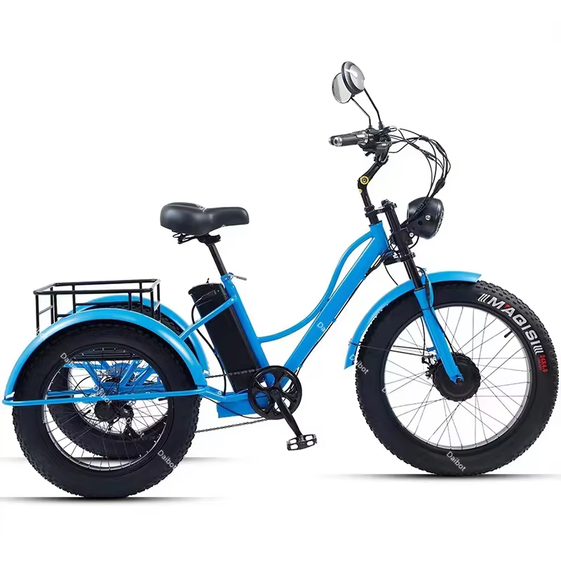 24 pouces gros pneu puissant vélo électrique pour hommes 750w Cargo Tricycle électrique pour adultes