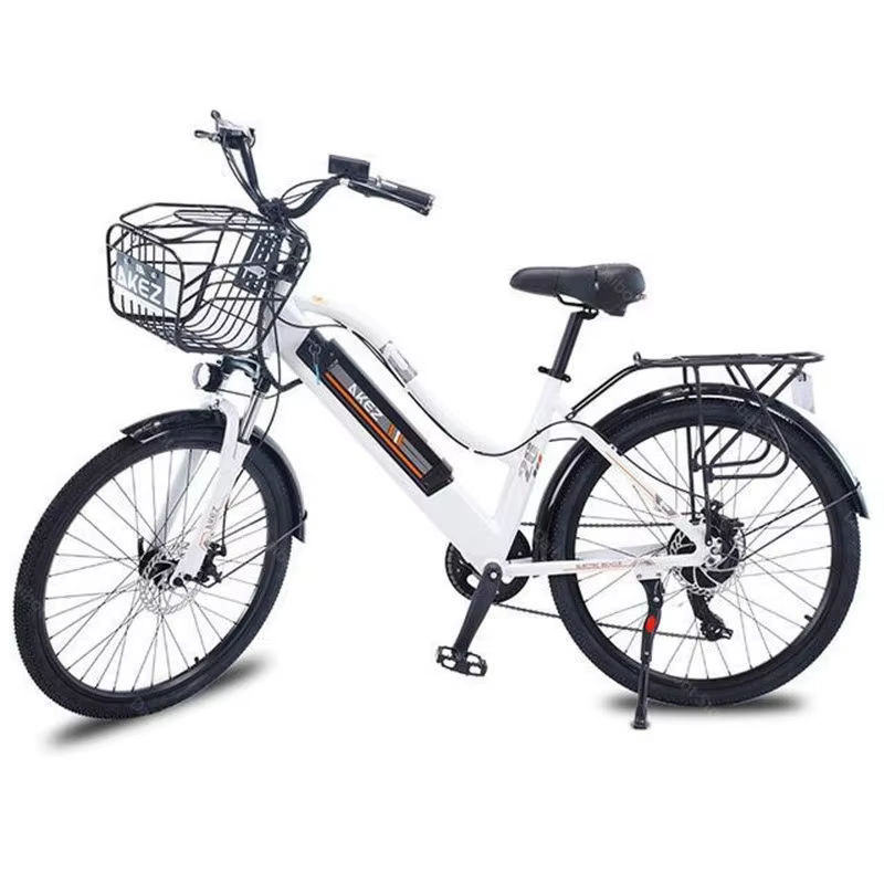 Vélo électrique adulte 2 places 26 pouces 350W 36V vélo de ville électrique à 2 roues avec panier/am