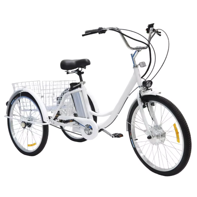 Vélo Cargo électrique à 3 roues pour adultes âgés, Tricycles électriques de 24 pouces, 350W, 36V, po