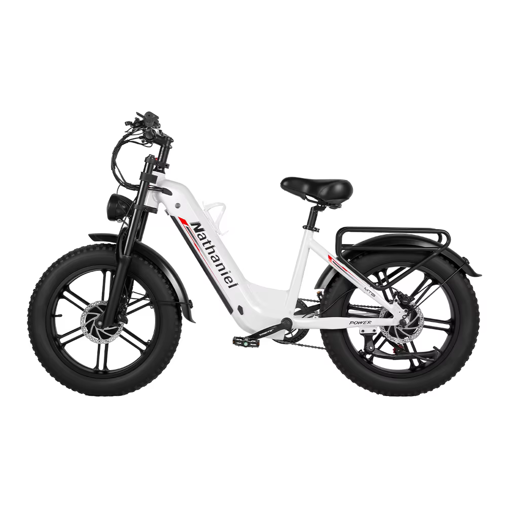 Vélo électrique adulte Nathaniel SYR08, double moteur 2000 W, roue intégrée à gros pneus 20 "* 4.0, 