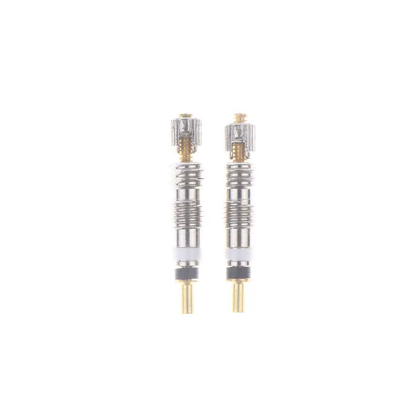 2/6/10 pièces – Noyaux de valve Presta amovibles en laiton pour réparation et remplacement de vélos 