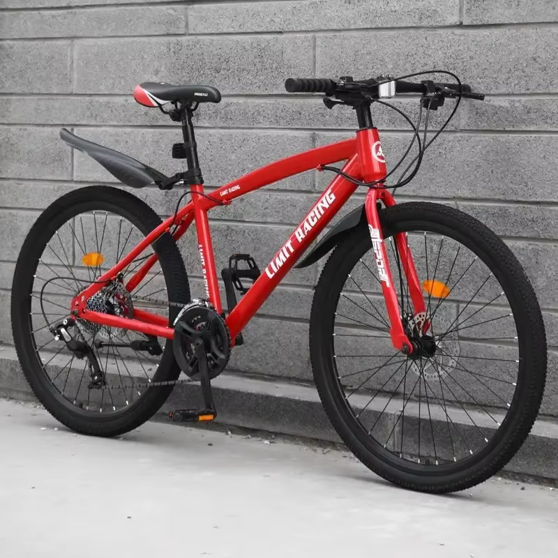 24/26 pouces vélos de montagne pliants jolie Double Absorption des chocs vélo 24/26 pouces élèves Po