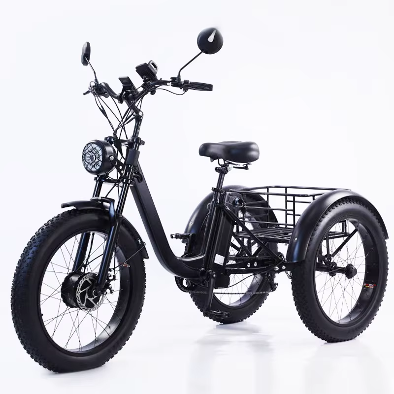 Tricycle électrique à 3 roues pour hommes adultes, vélo cargo électrique de montagne de neige, 24 po