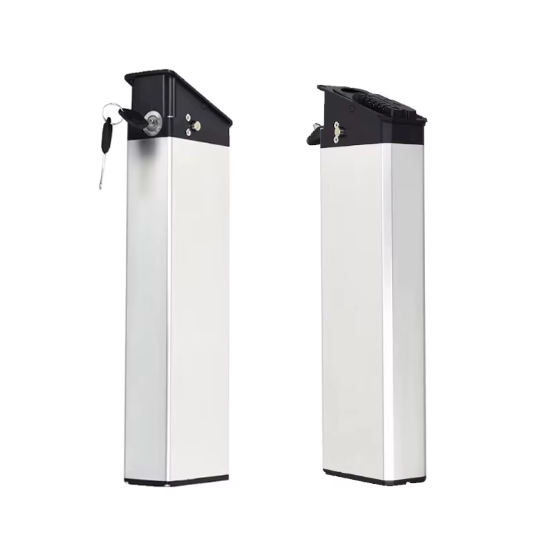 Batterie de remplacement pour vélo électrique Engwe EP-2 Pro Engine X