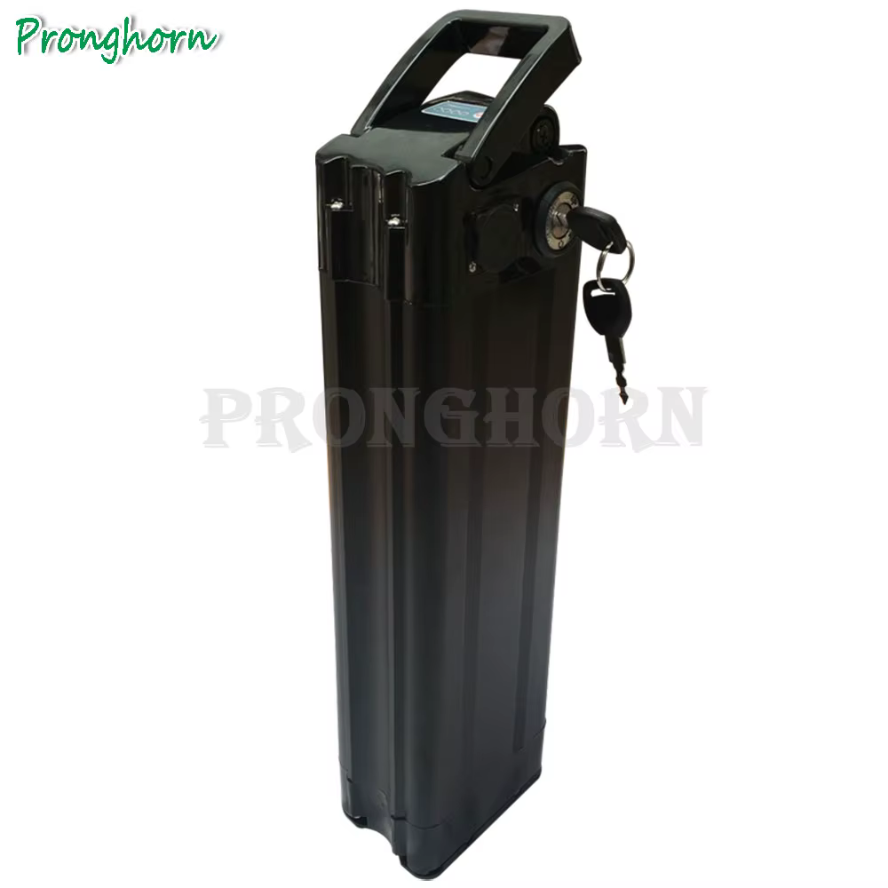 Batterie eBike 36V 10Ah 13Ah 15Ah 18Ah 20Ah pour 500W 350W 250W Prophete/Phylion/MiFa/Rex/Prophete/Trio Batteries de vélo électrique.