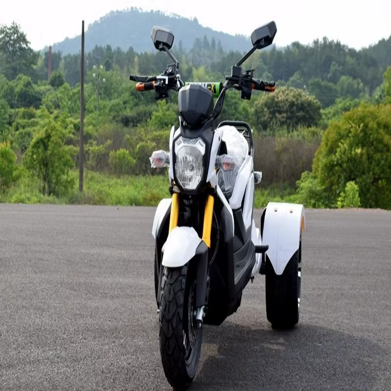 Tricycle électrique tout-terrain pour adultes