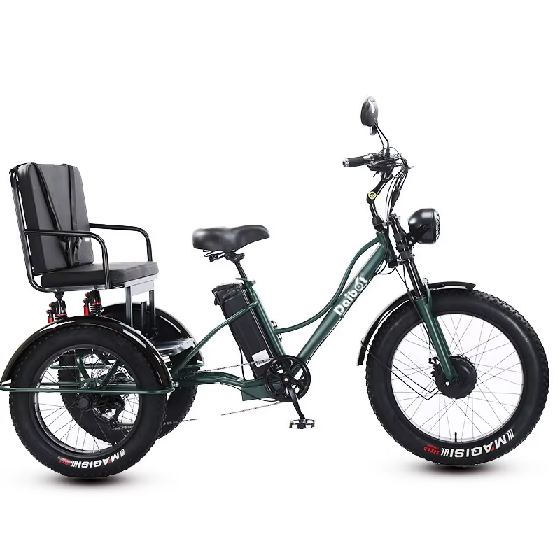 Nouveau Tricycle électrique à 3 roues vélo Cargo avec passagers personnes âgées adultes 2 places 750W puissant