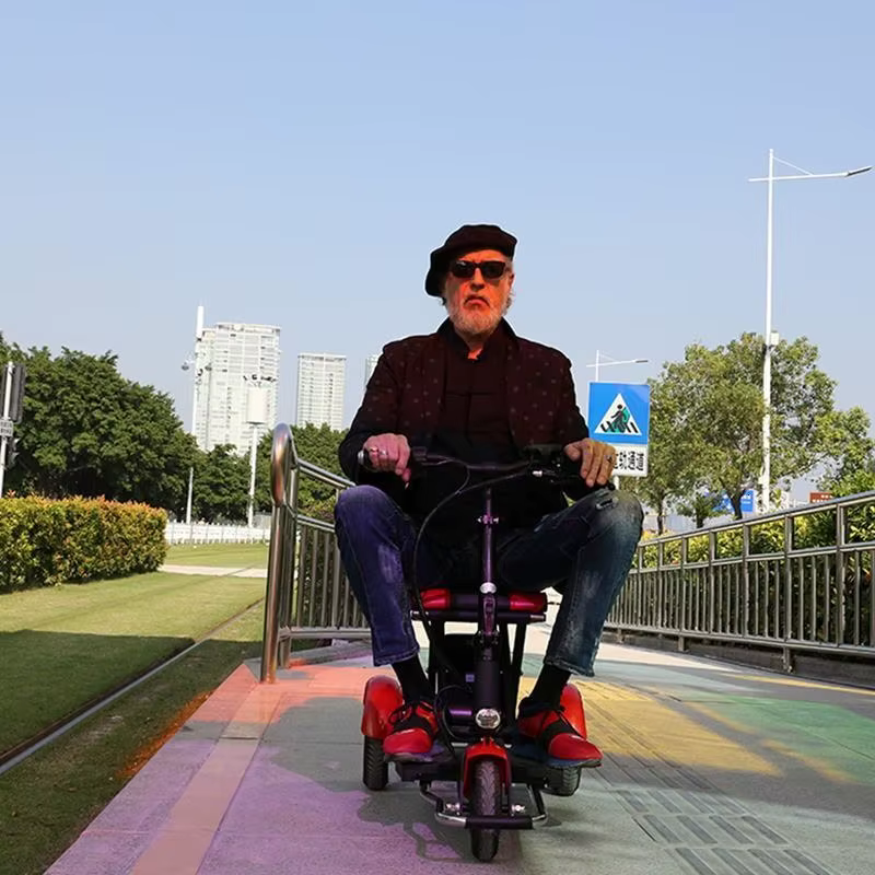 Trottinette Électrique Pliable et Légère avec 3 Roues pour Adulte