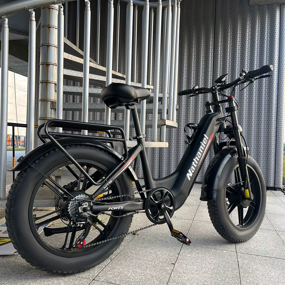 Roue intégrée à double entraînement pour vélo électrique 2000W 20x4.0