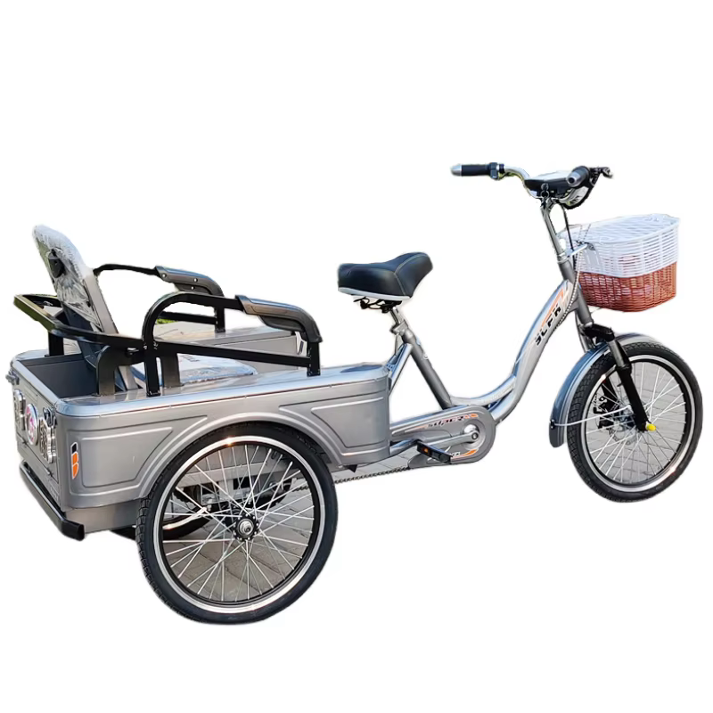 Tricycle Électrique avec Siège Passager pour Adulte