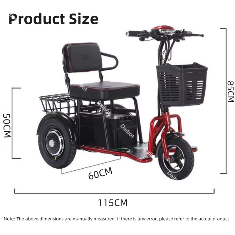 Tricycle électrique à double moteur