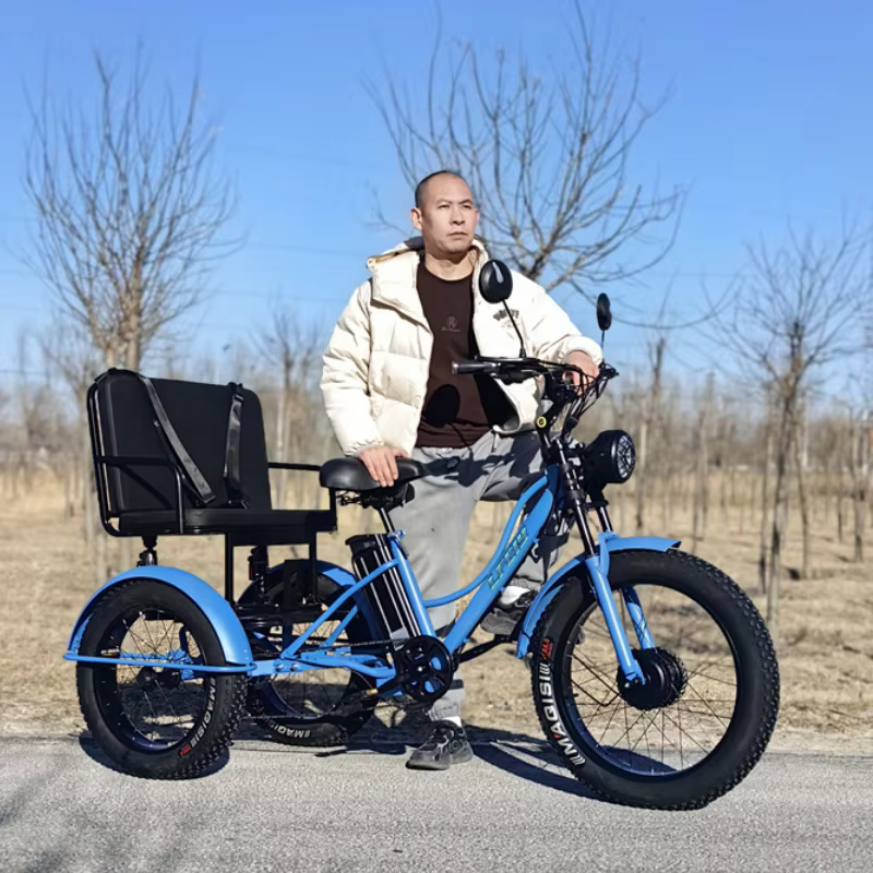 Nouveau vélo électrique familial Cargo 3 places pour adultes avec siège arrière tout Terrain 750W 48V Tricycle