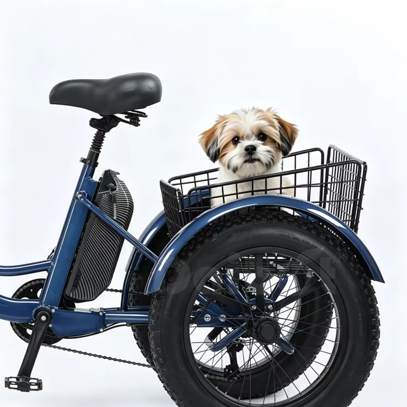 Nouveau 3 roues gros pneu adulte rose vélo électrique femmes ville 500W famille Cargo Tricycle