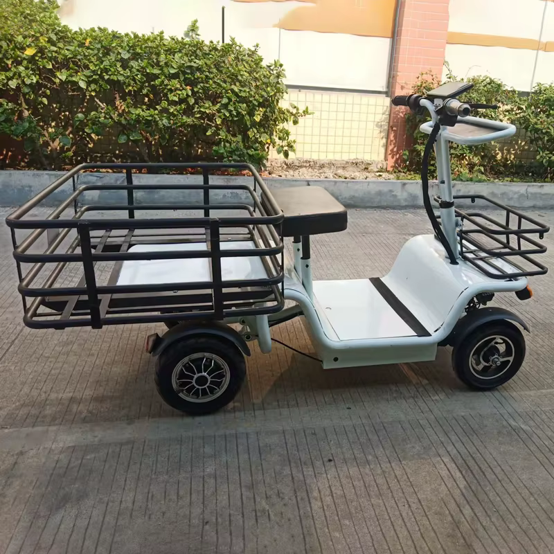 Tricycles électriques de cargaison à grande vitesse de roue de vélo de chargement électrique de mobilité 48V 1000W 4 roues
