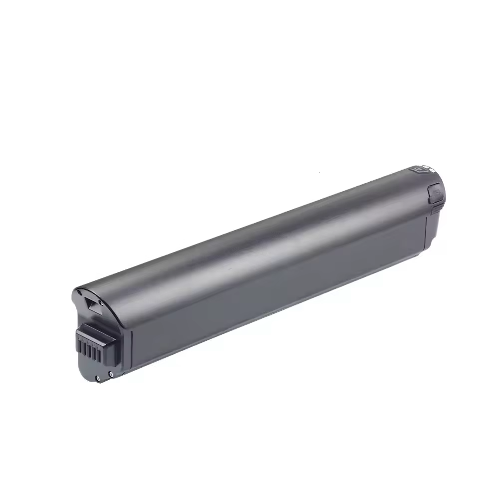 Jasion ebike EB5 Roamer batterie 36V 15.6Ah 48V 10.4Ah 12Ah 14Ah