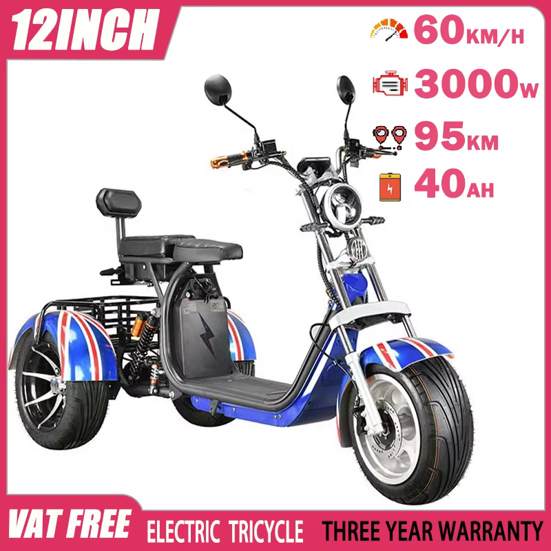 Tricycle électrique 12 pouces avec pneus larges pour adultes