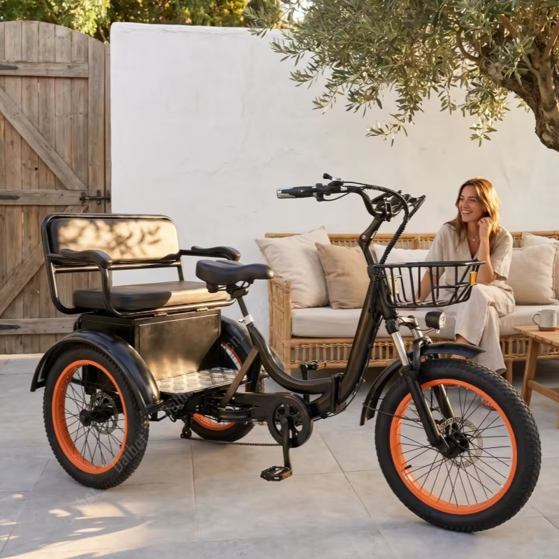 Nouveau tricycle électrique familial pour adultes avec siège arrière