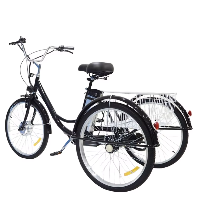 Vélo Cargo électrique pour adultes personnes âgées 350W 36V 12AH batterie au Lithium amovible
