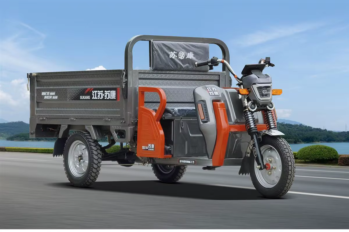 Tricycle électrique de transport robuste 2000W