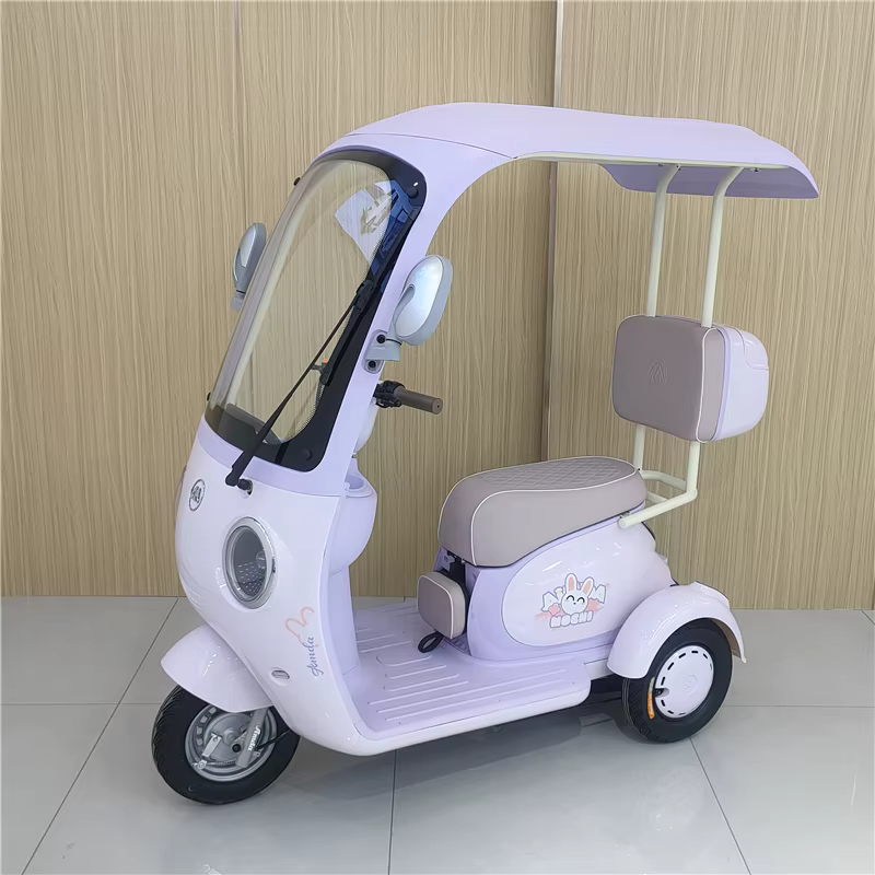 Tricycle électrique de loisirs à 3 roues 60V